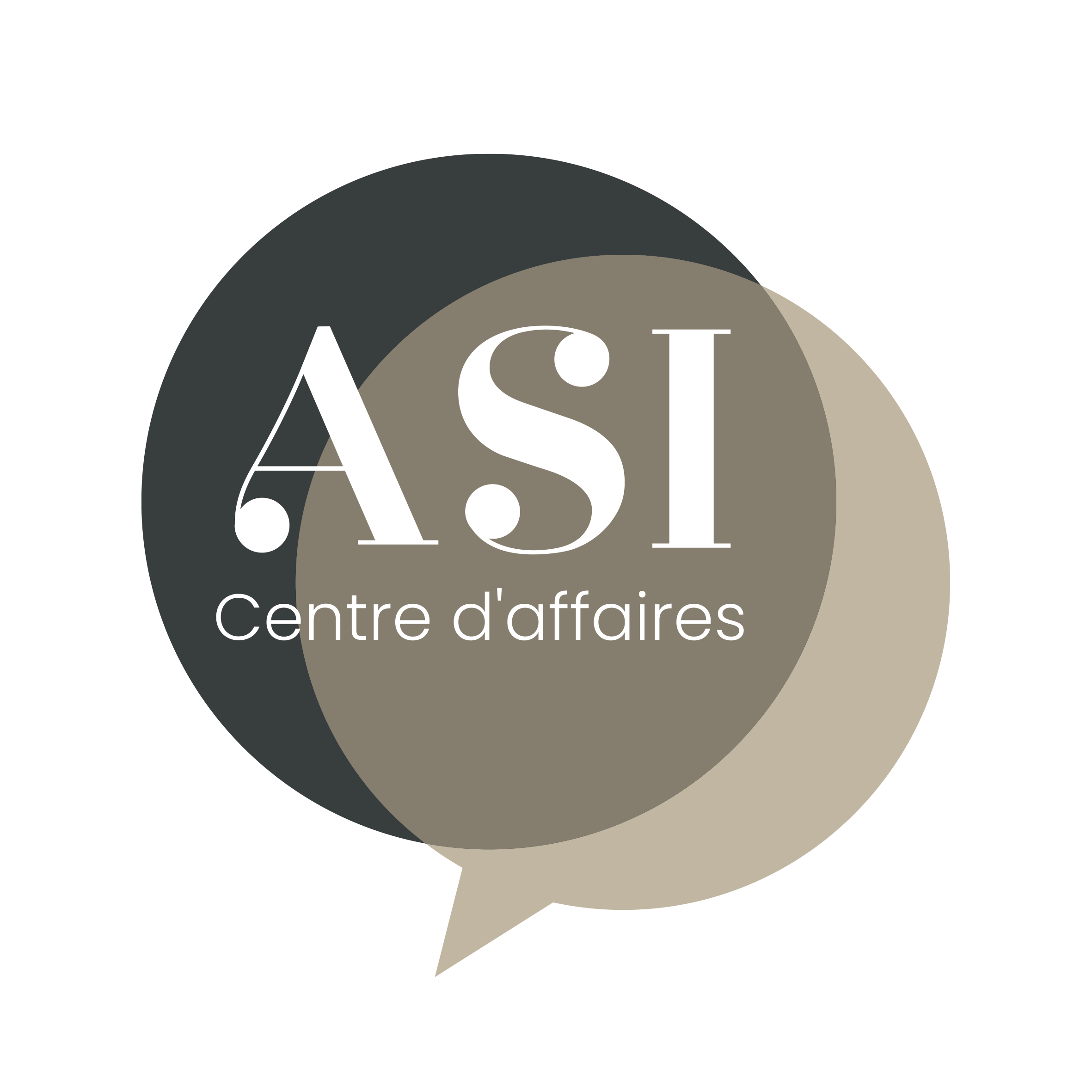ASI Centre d'Affaires